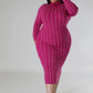 Turtle Neck Stretch Dress